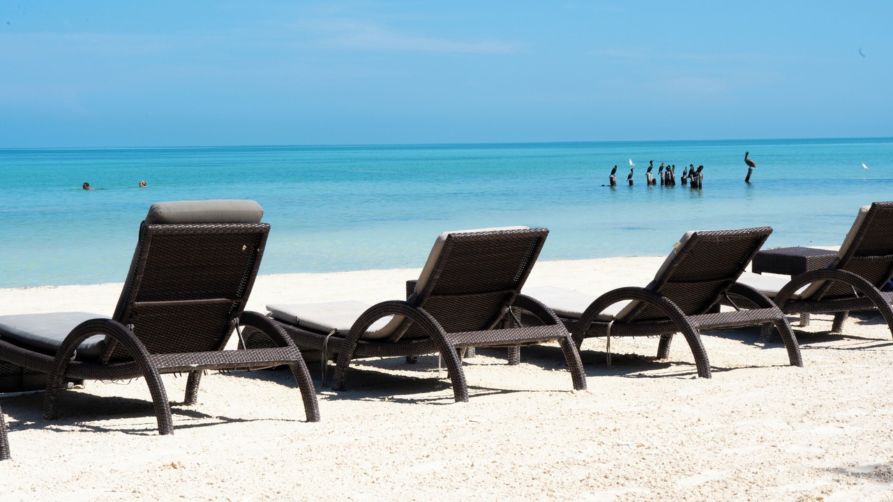 Photo of Others in Isla Holbox