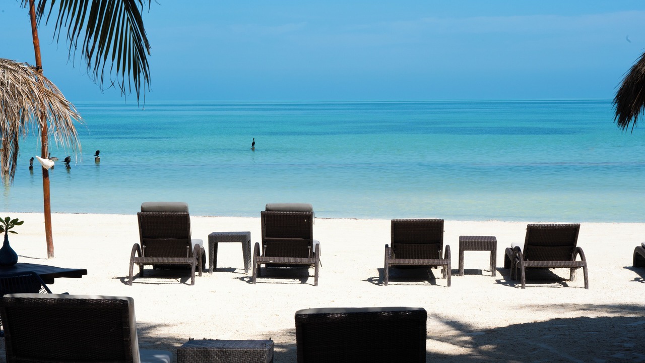 Photo of Others in Isla Holbox