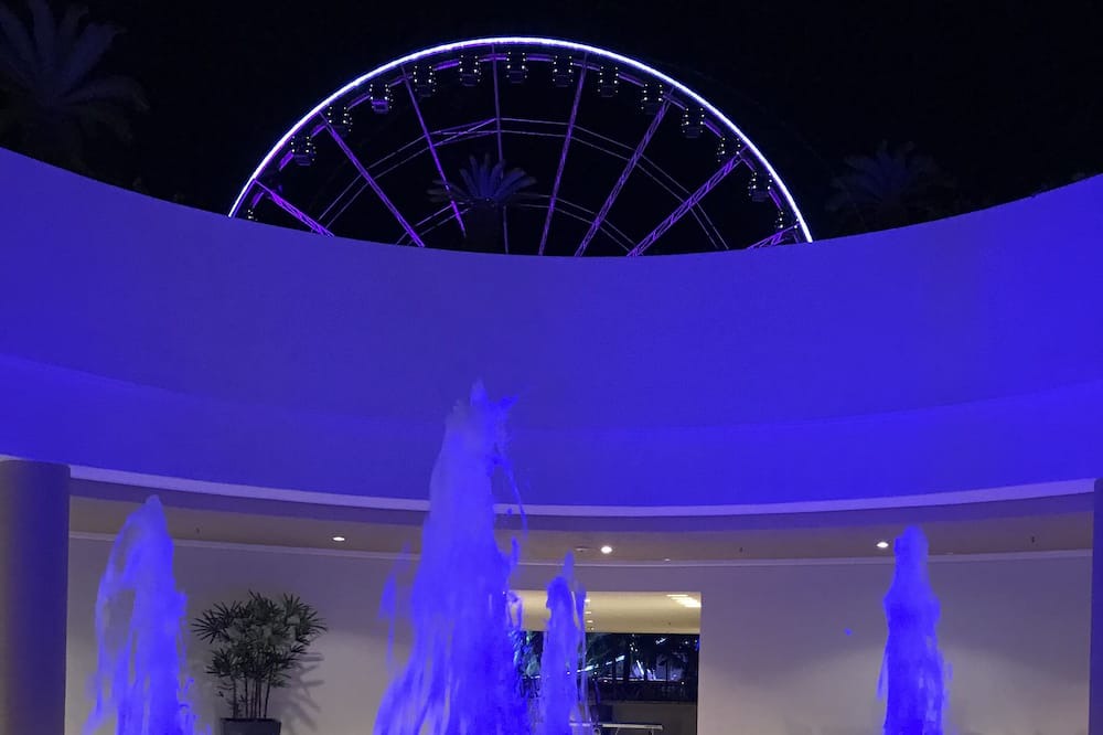Photo of Outdoor in La Isla