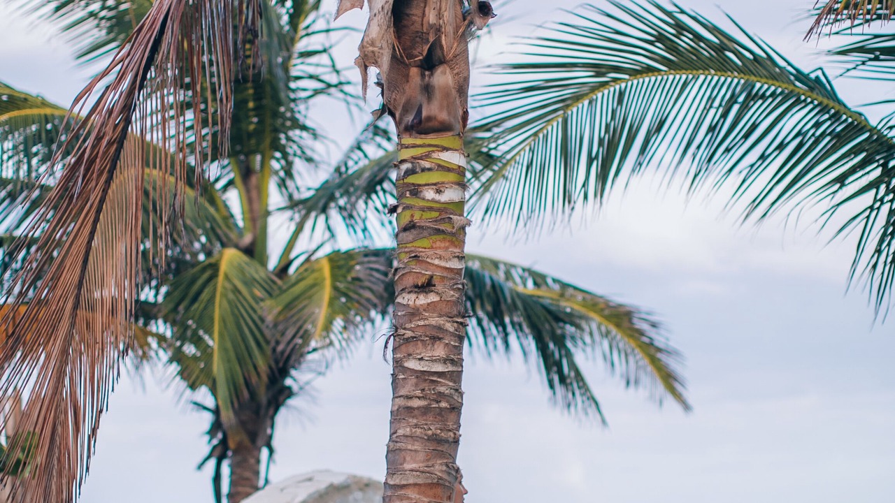Photo of Outdoor in Playa Paraiso