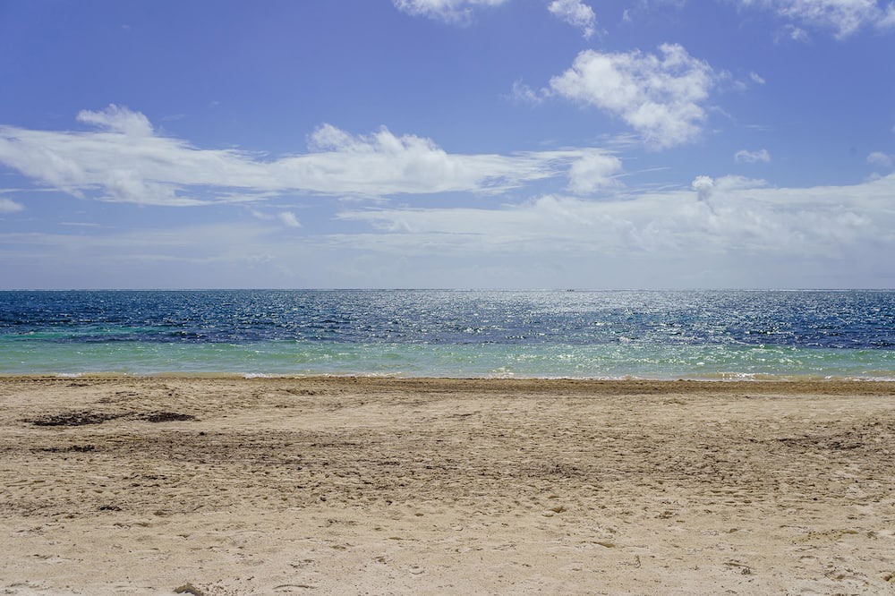 Photo of Others in Puerto Morelos
