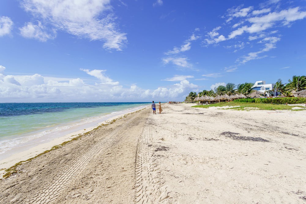 Photo of Others in Puerto Morelos