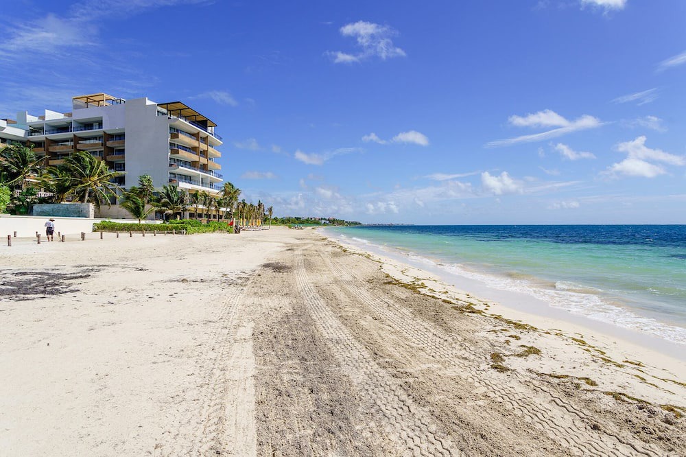 Photo of Others in Puerto Morelos