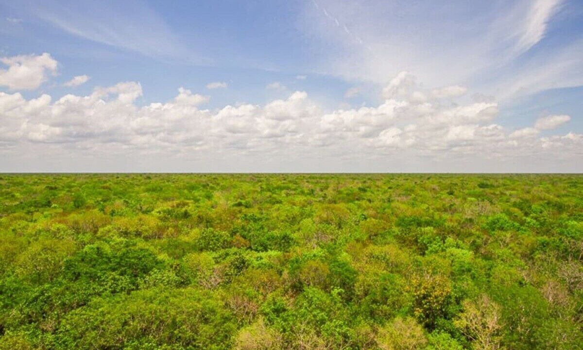 Photo of Outdoor in Villa Juarez