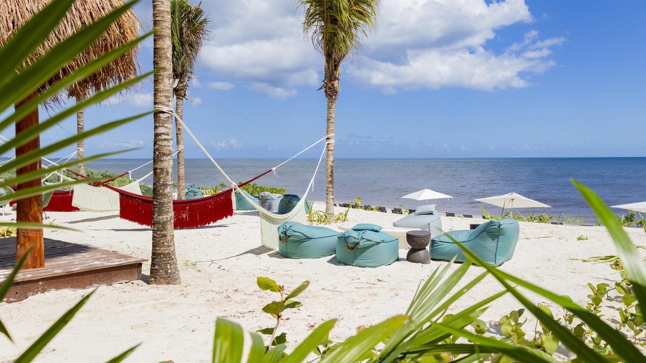 Photo of Others in Puerto Morelos