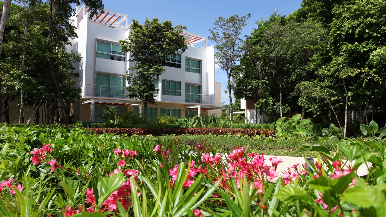 Photo of Outdoor in Akumal