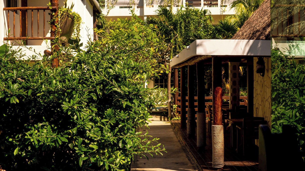 Photo of Outdoor in Centro