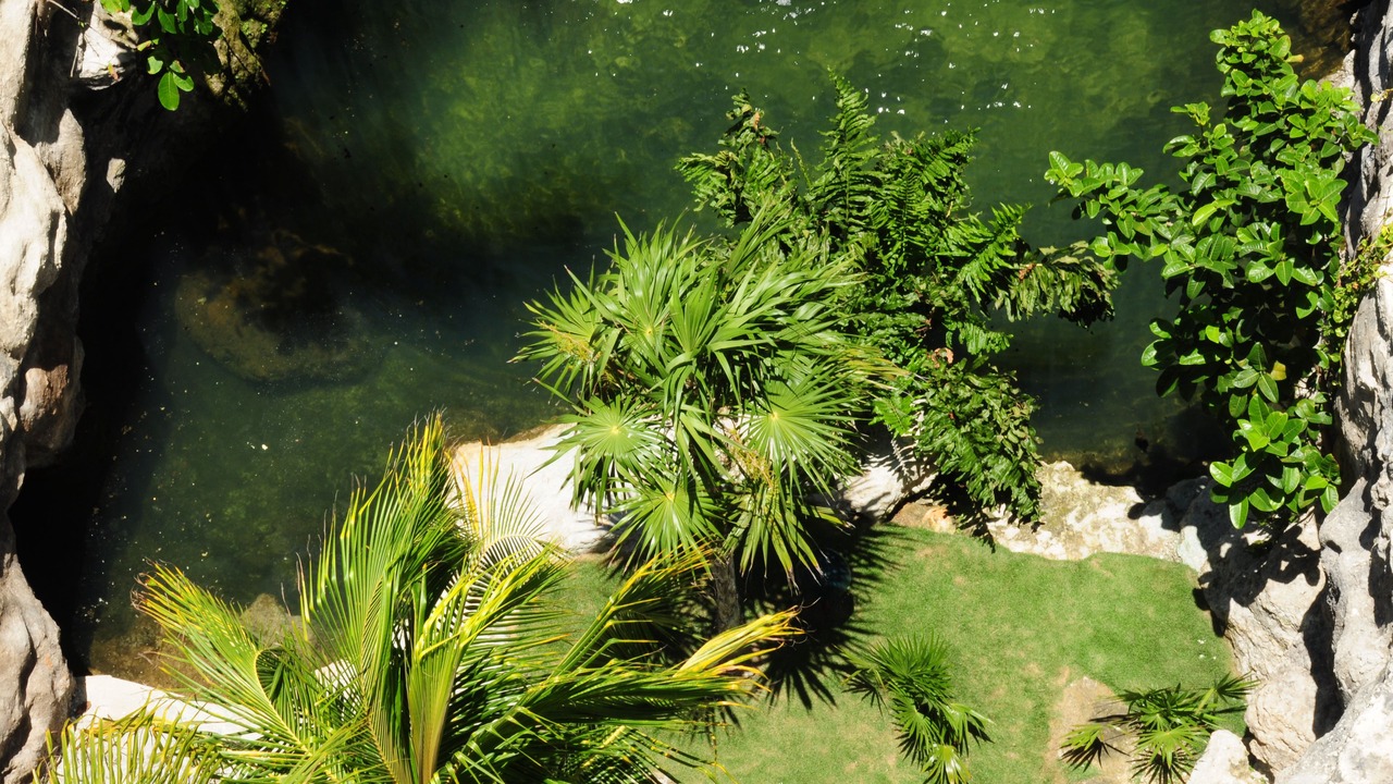 Photo of Outdoor in Centro