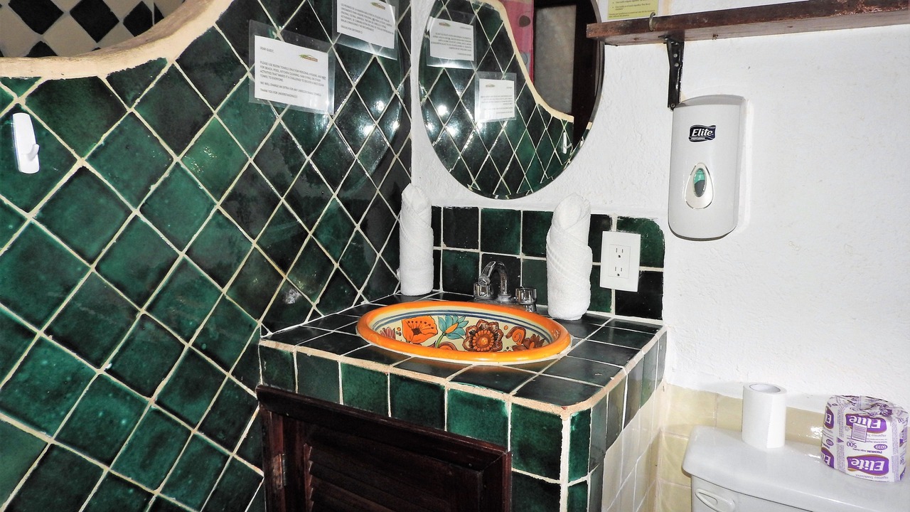 Photo of Bathroom in Ejidal
