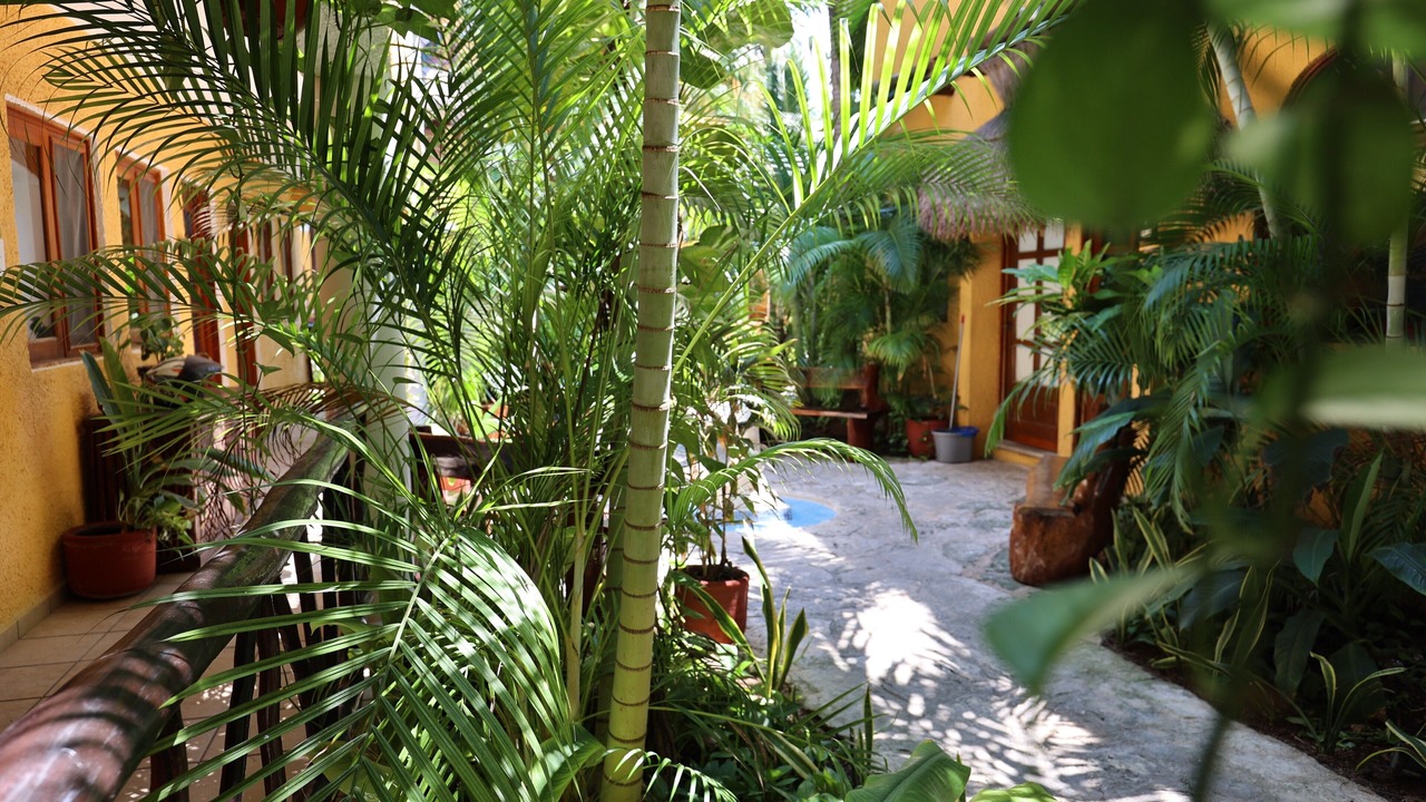 Photo of Outdoor in Downtown