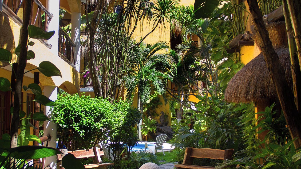 Photo of Outdoor in Downtown