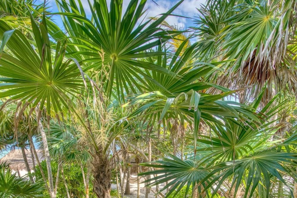 Photo of Outdoor in Soliman Bay