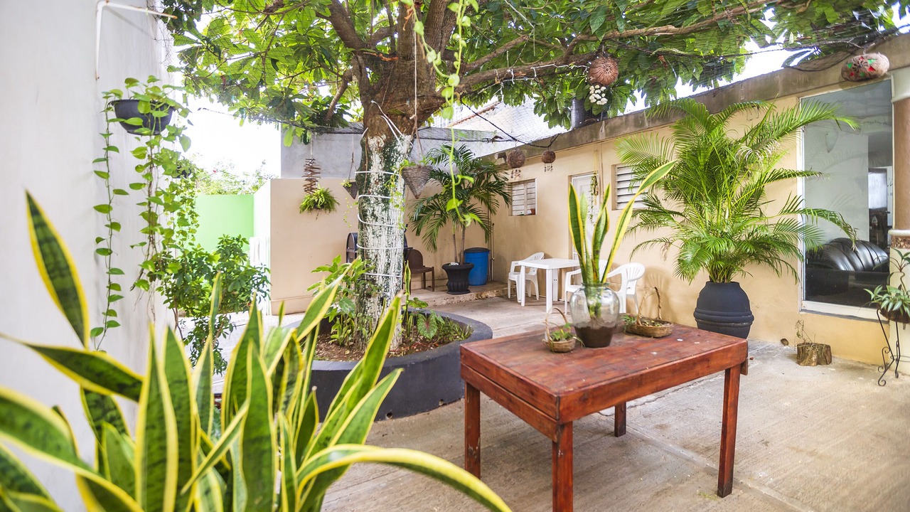 Photo of Outdoor in Colonia Centro
