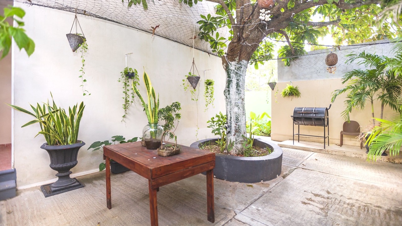 Photo of Outdoor in Colonia Centro