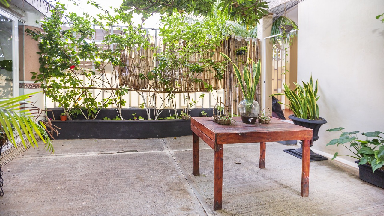Photo of Outdoor in Colonia Centro