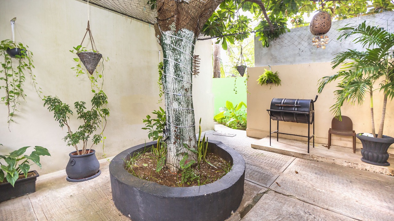 Photo of Outdoor in Colonia Centro
