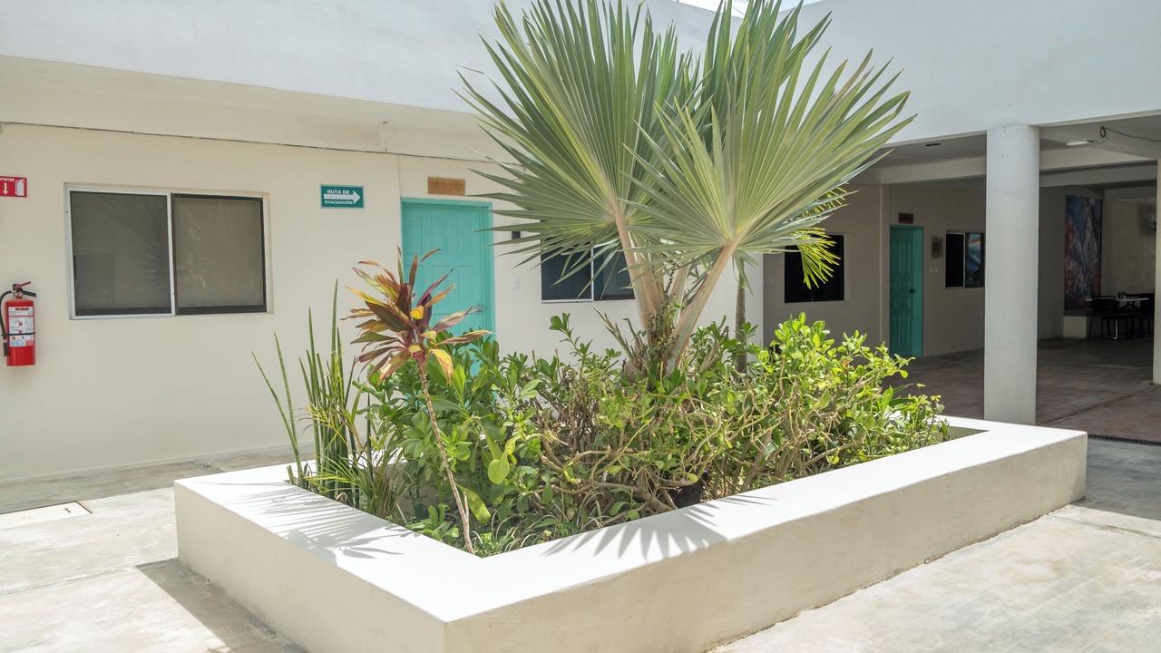 Photo of Patio Balcony in Chiquila