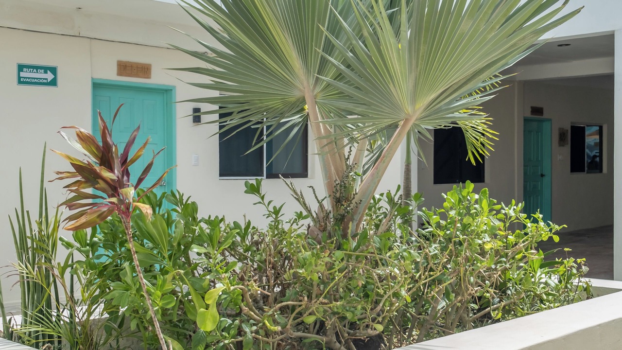 Photo of Outdoor in Chiquila