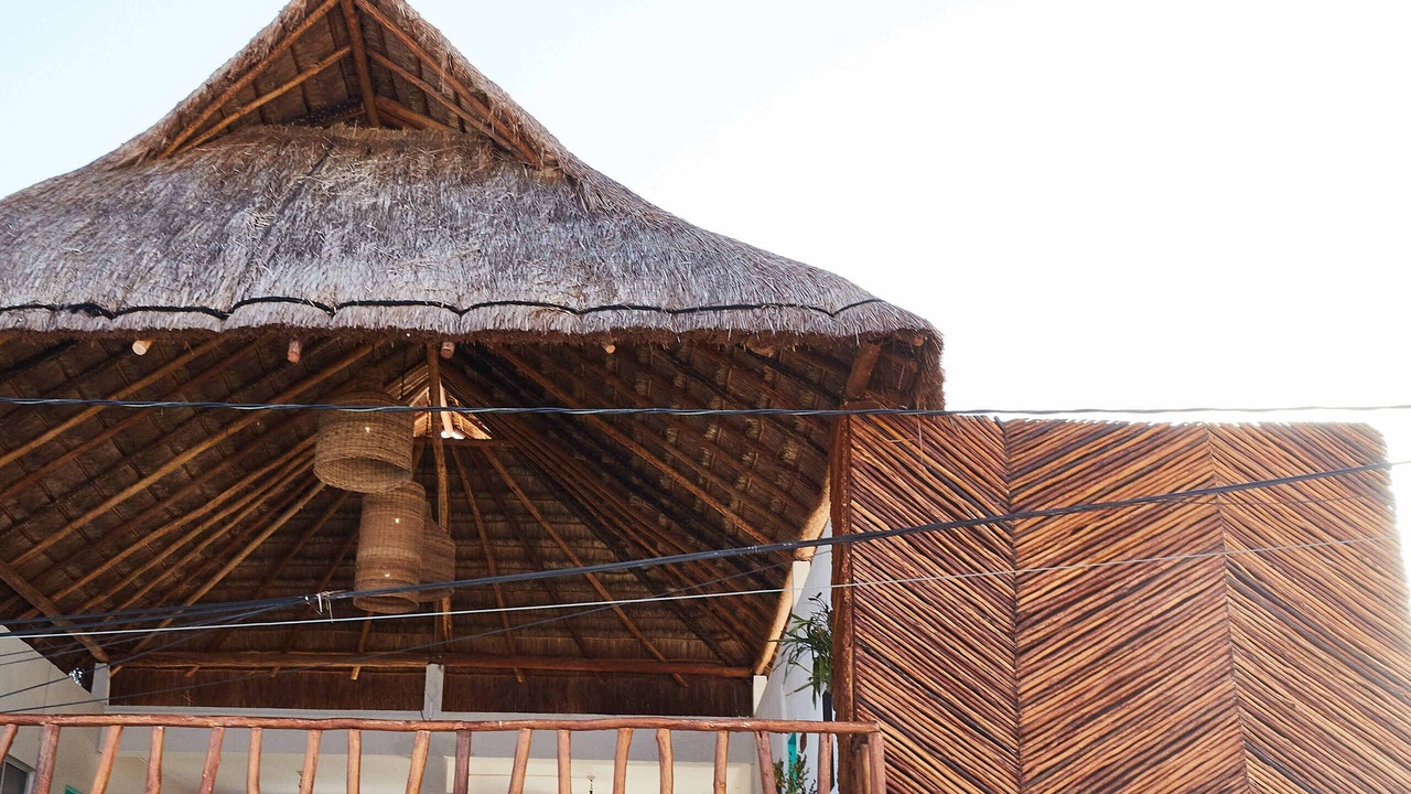 Photo of Outdoor in Chiquila