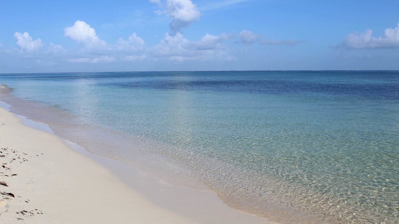 Photo of Others in Cozumel