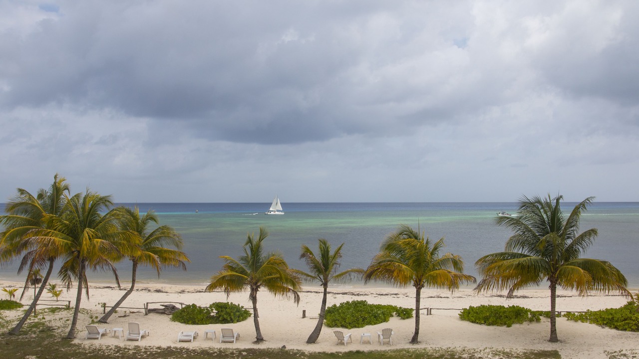 Photo of Others in Cozumel