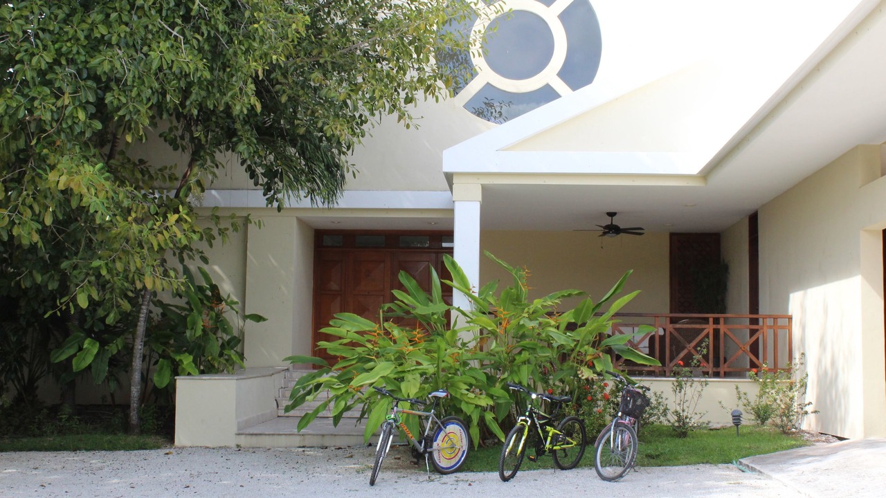Photo of Outdoor in Cozumel