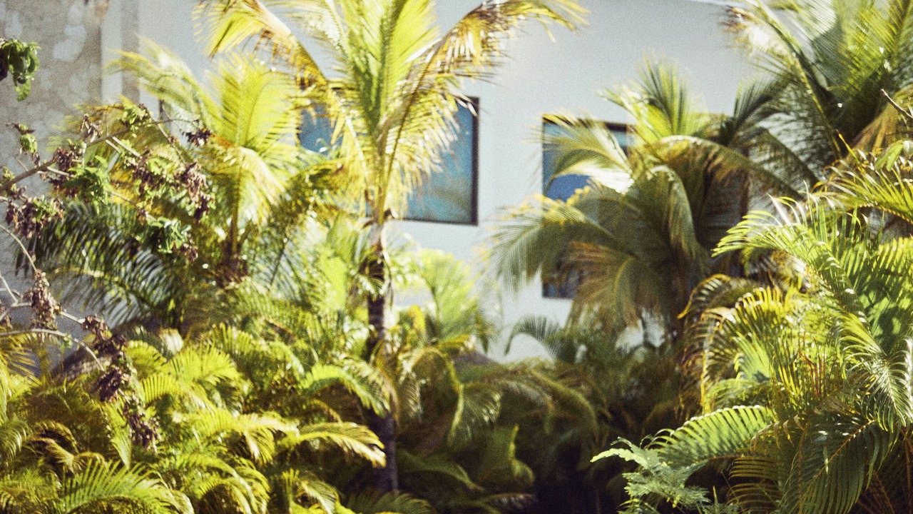 Photo of Outdoor in Maroma