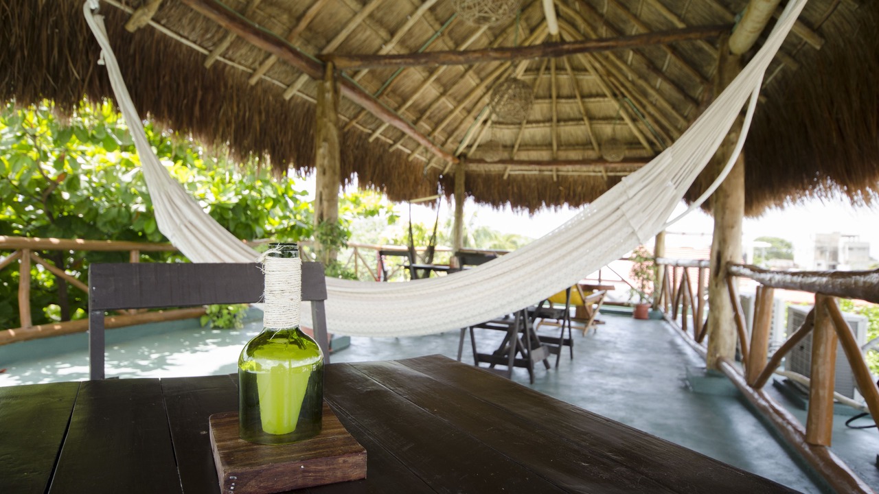 Photo of Outdoor in Tulum City Center