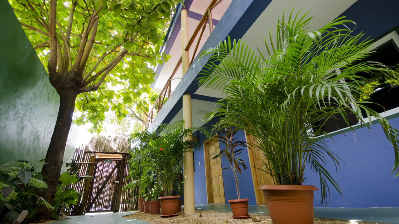 Photo of Others in Tulum City Center