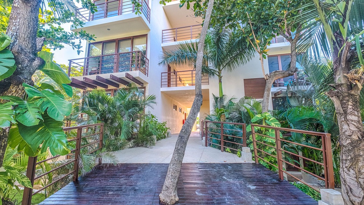 Photo of Outdoor in Akumal