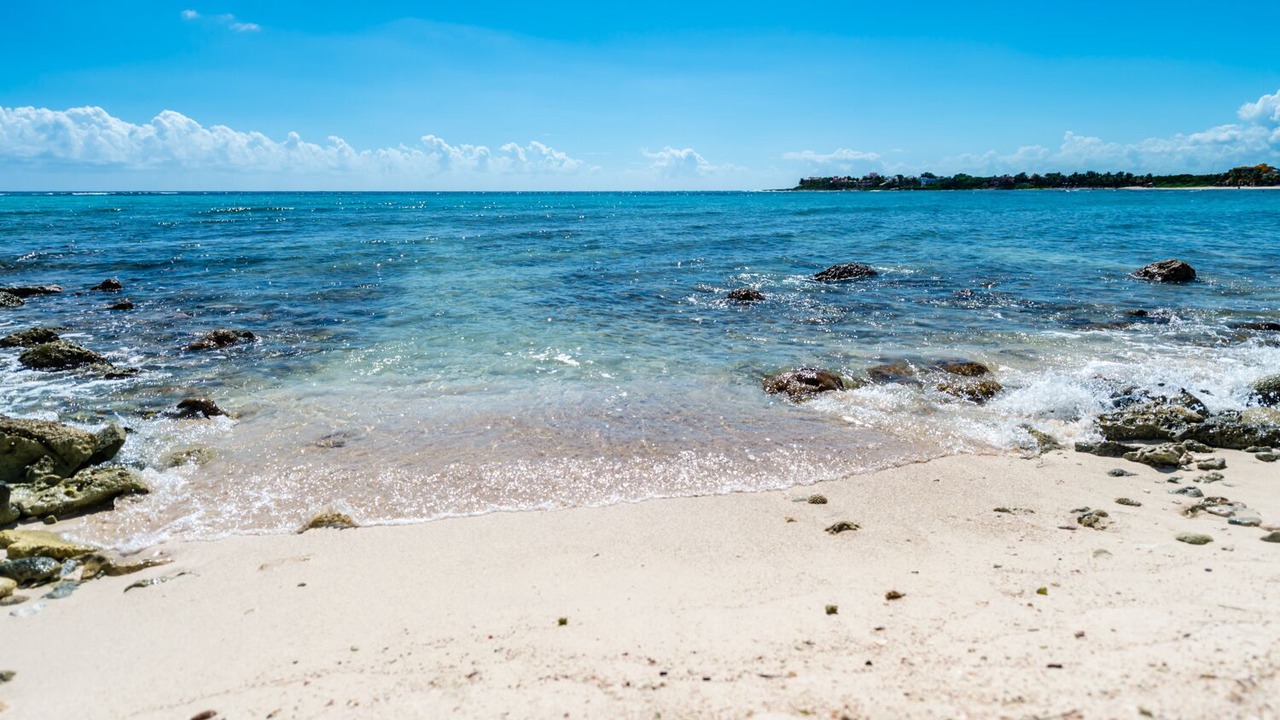 Photo of Others in Akumal