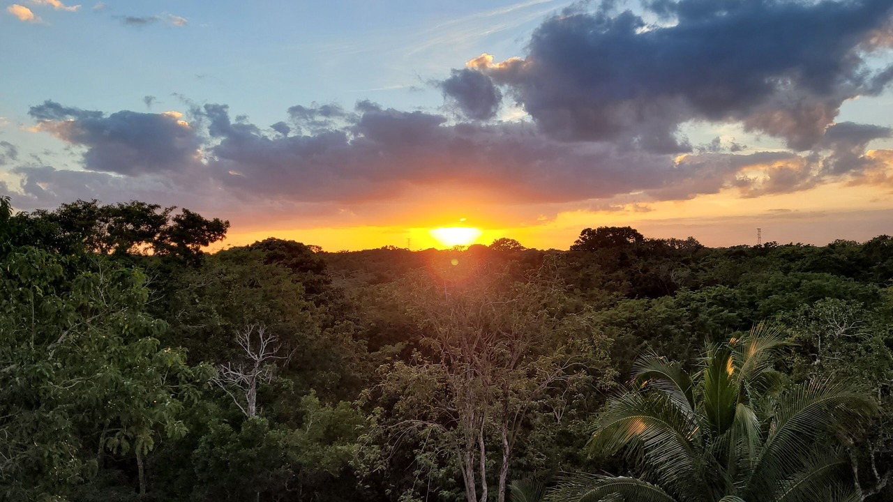 Photo of Others in Akumal