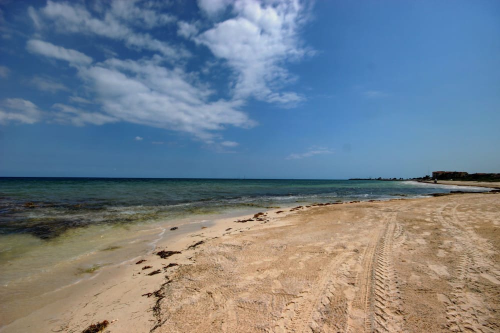 Photo of Others in Puerto Morelos