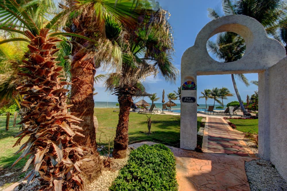 Photo of Others in Puerto Morelos