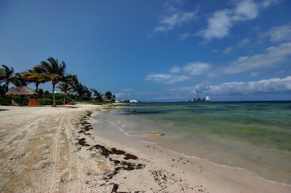Photo of Others in Puerto Morelos