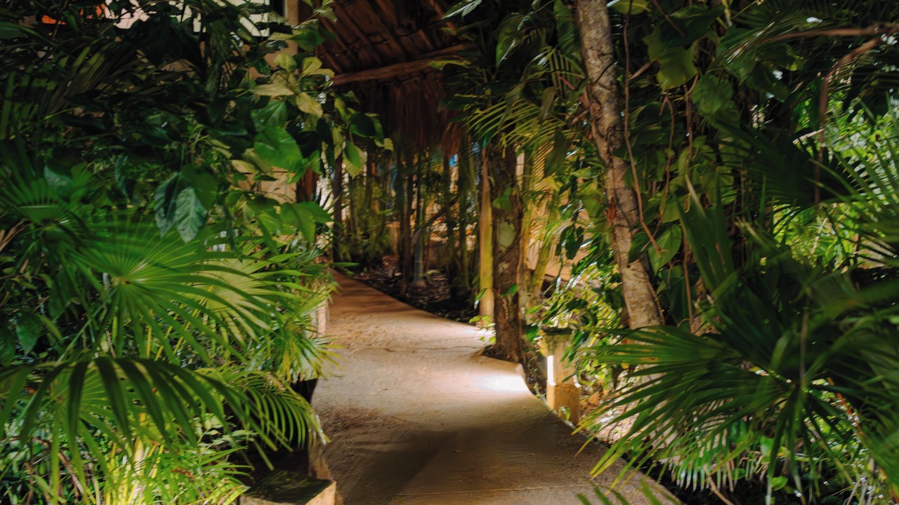 Photo of Outdoor in Coba