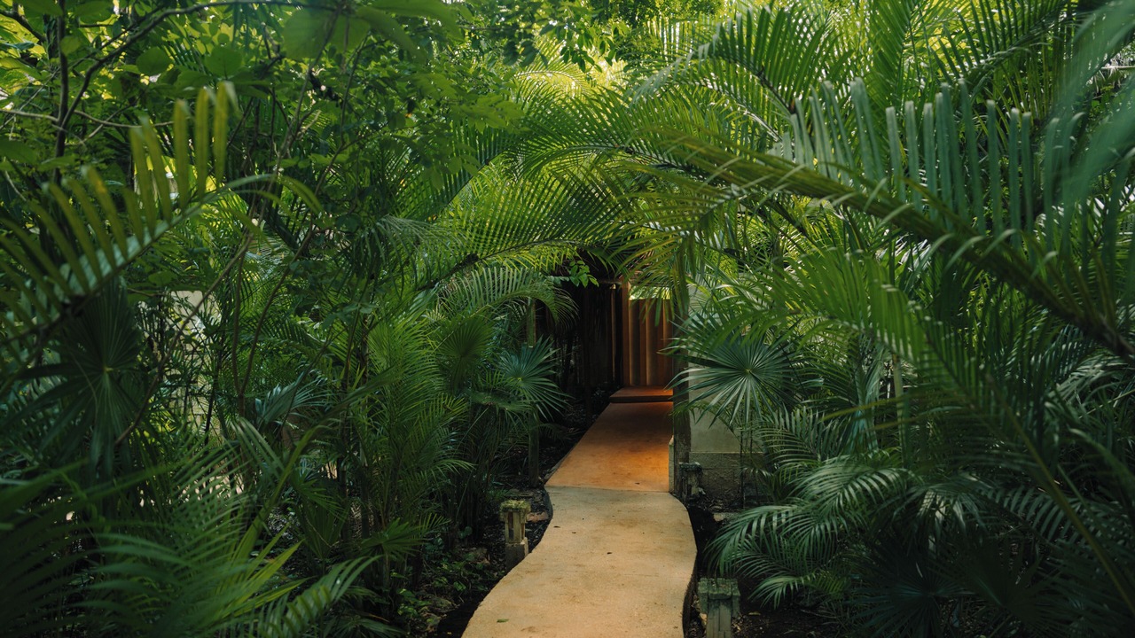Photo of Bedroom in Coba
