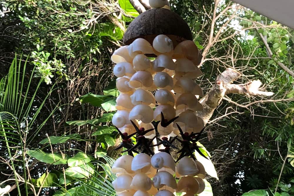 Photo of Outdoor in Akumal