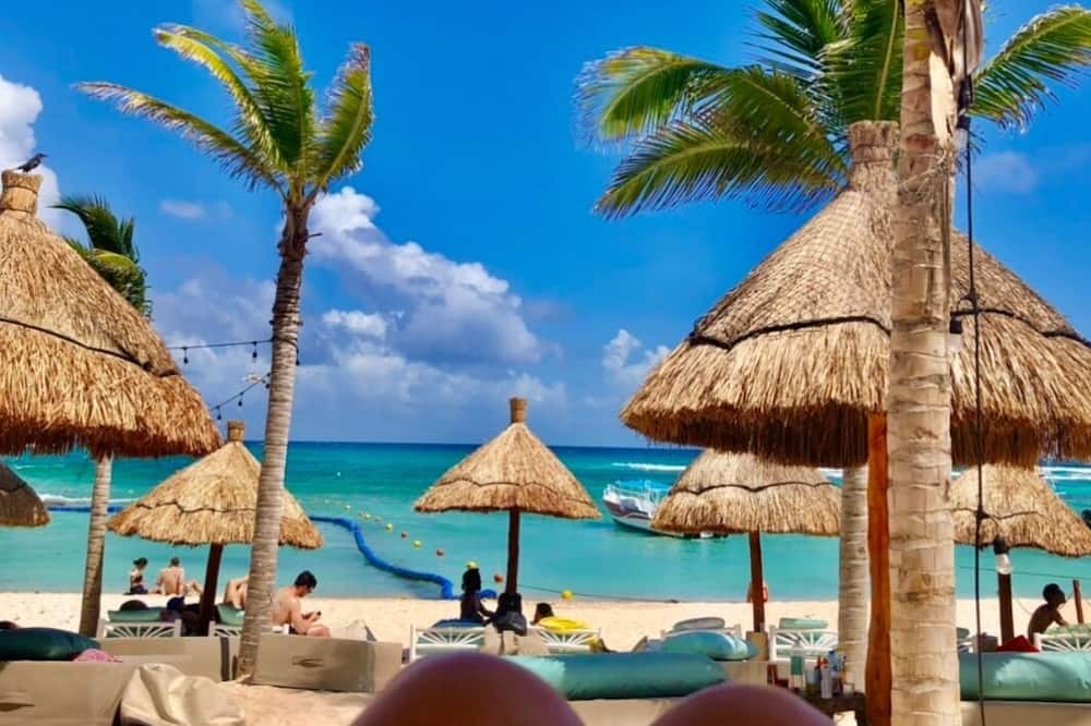 Photo of Others in Akumal