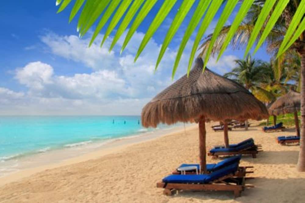 Photo of Others in Akumal