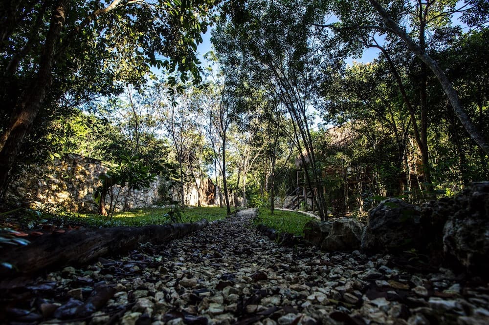 Photo of Outdoor in Macario Gomez