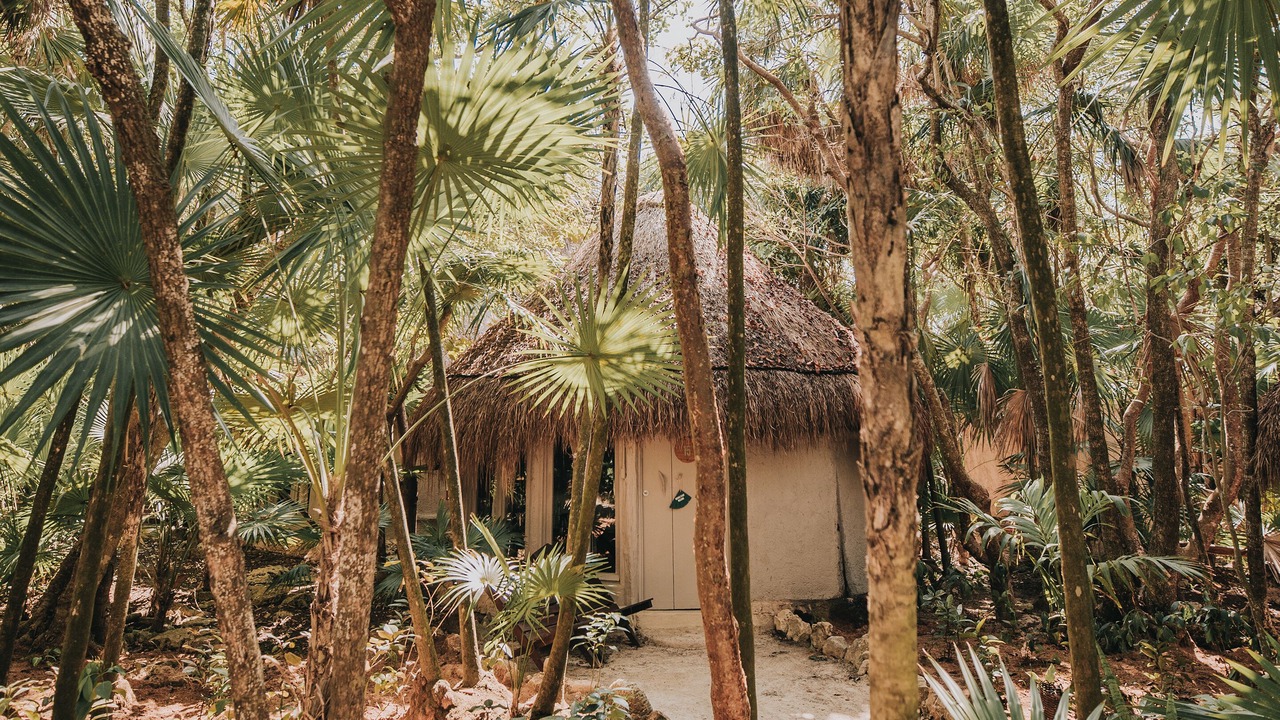 Photo of Outdoor in Playa Paraiso