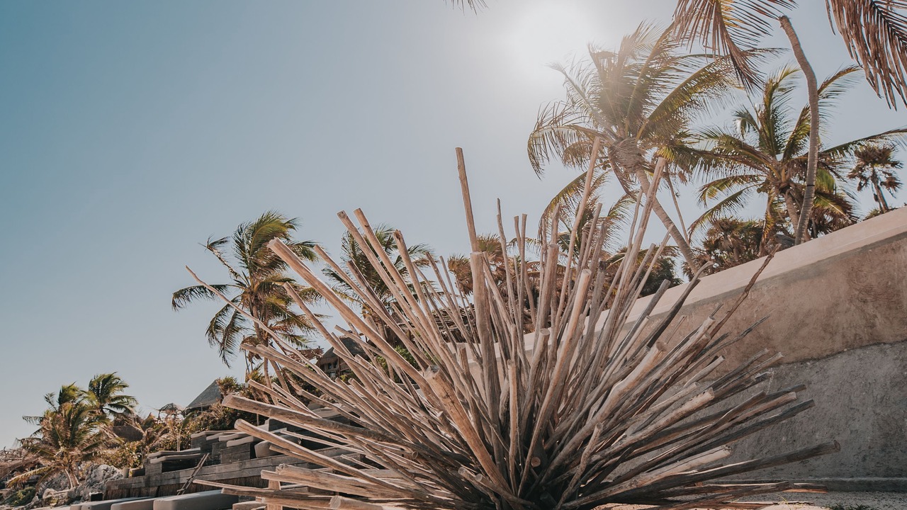 Photo of Outdoor in Playa Paraiso