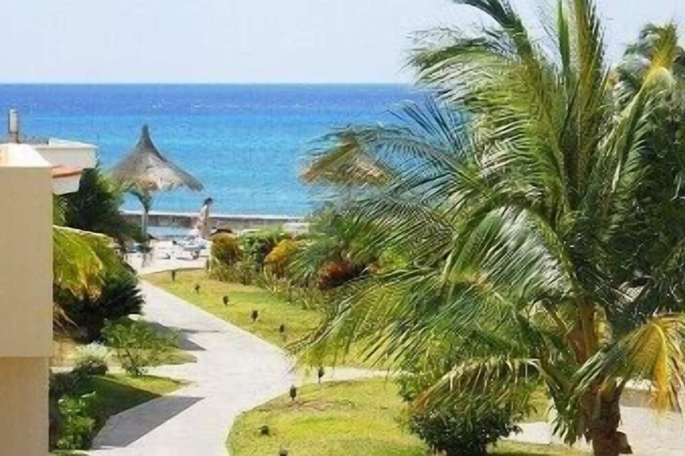 Photo of Others in Costa Maya