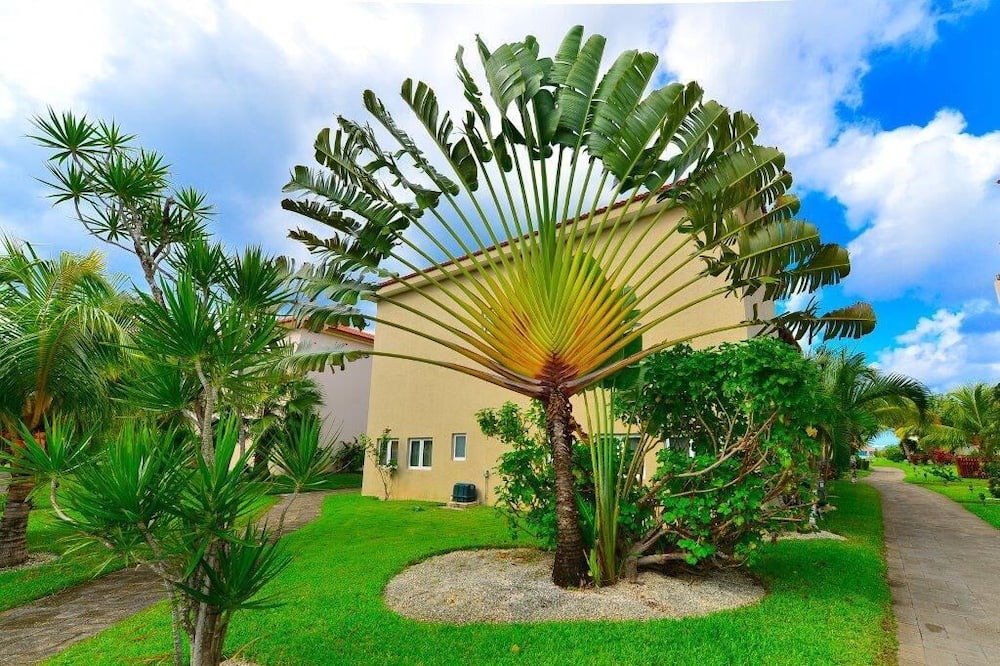 Photo of Outdoor in Costa Maya