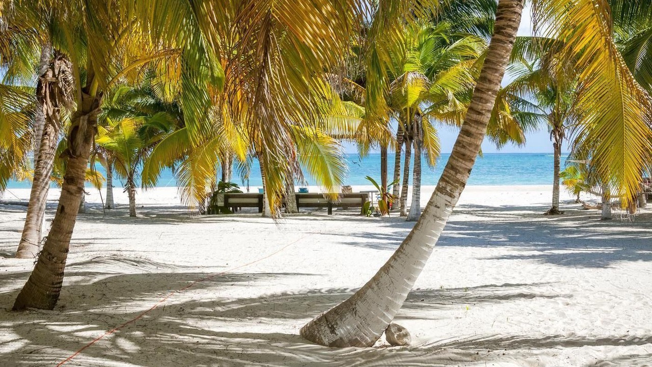 Photo of Others in Punta Allen