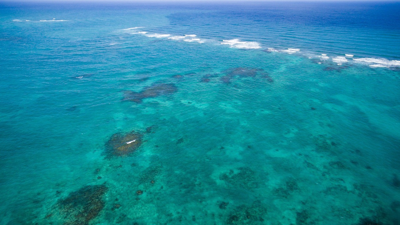 Photo of Outdoor in Punta Allen