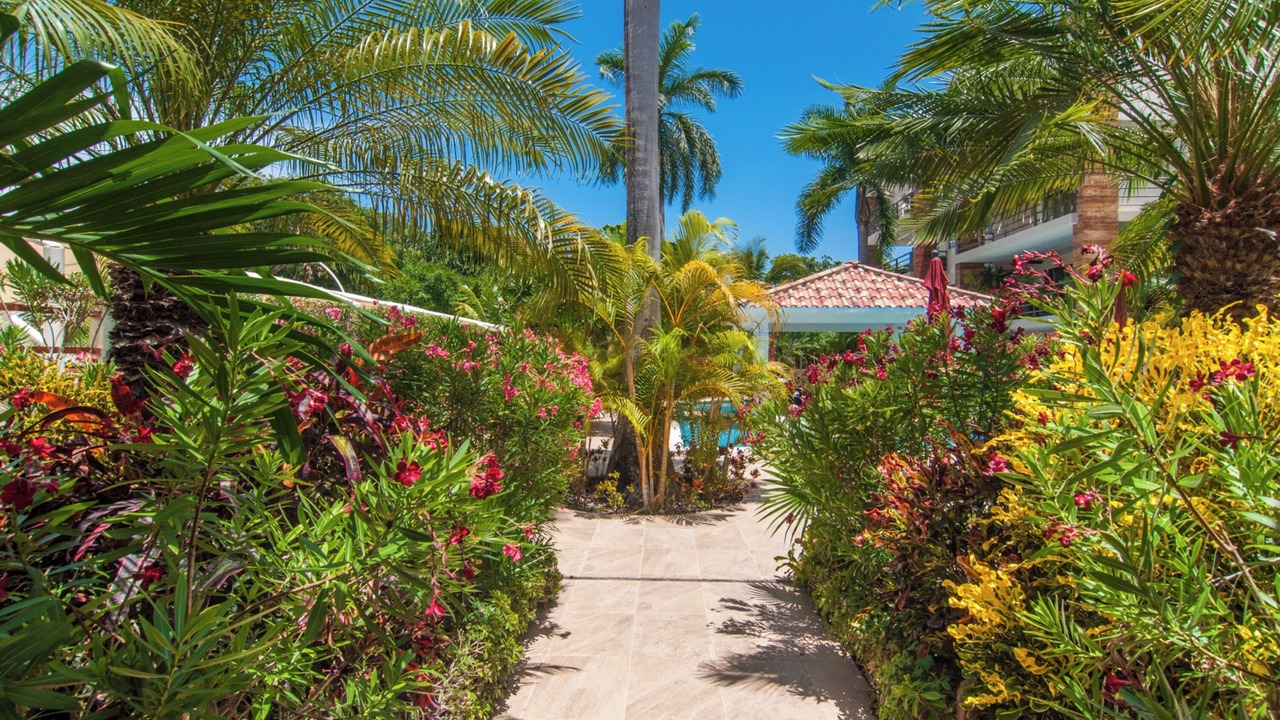 Photo of Outdoor in Villa Juarez