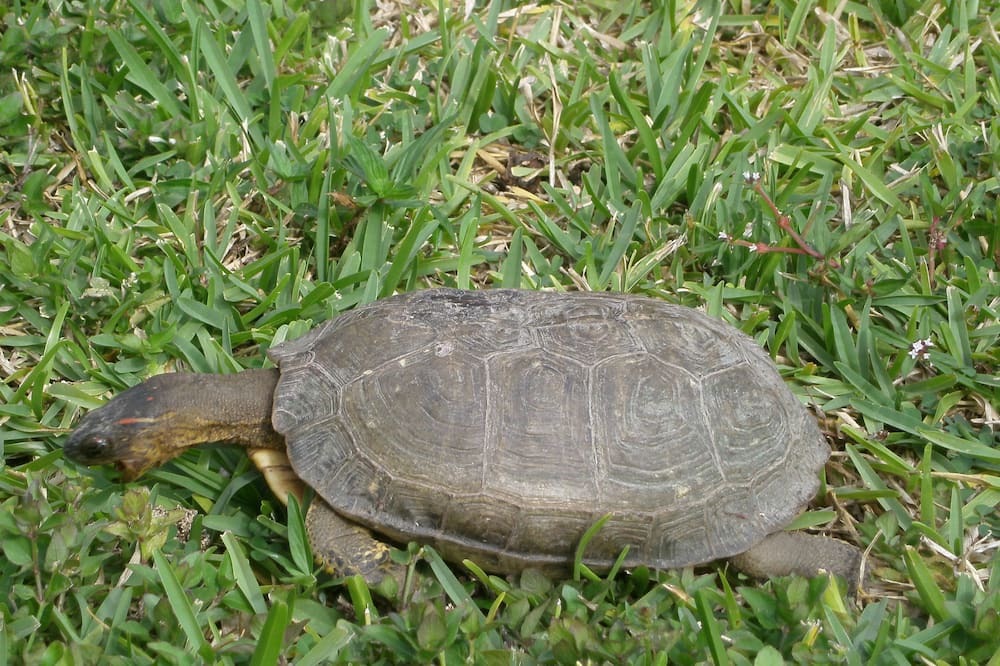 Photo of Others in Costa Maya