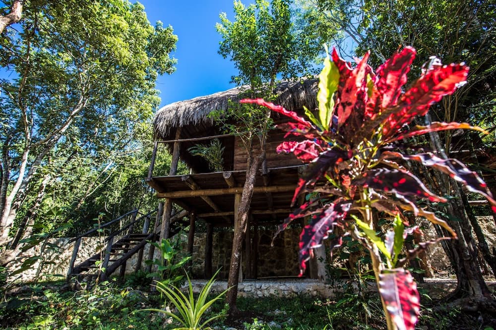 Photo of Outdoor in Macario Gomez